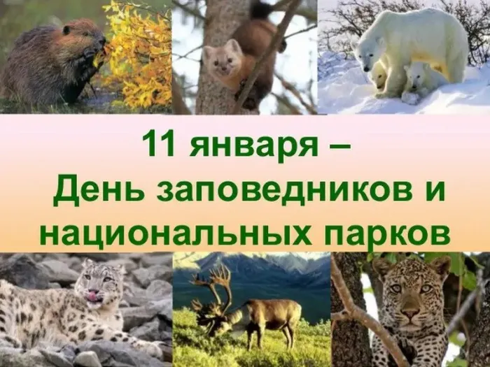 Красивые открытки и картинки с Днем заповедников и национальных парков. Открытки на День заповедников и национальных парков России (70 картинок)
