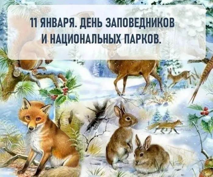 Красивые открытки и картинки с Днем заповедников и национальных парков. Открытки на День заповедников и национальных парков России (70 картинок)