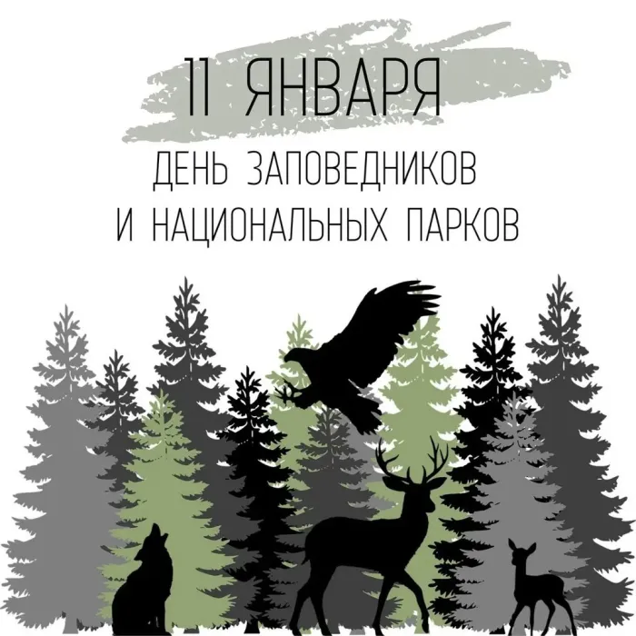 Красивые открытки и картинки с Днем заповедников и национальных парков. Открытки на День заповедников и национальных парков России (70 картинок)