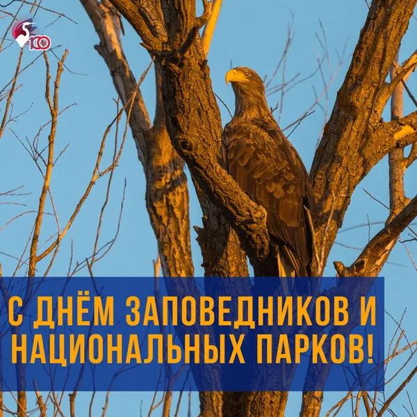 Красивые открытки и картинки с Днем заповедников и национальных парков. Открытки на День заповедников и национальных парков России (70 картинок)