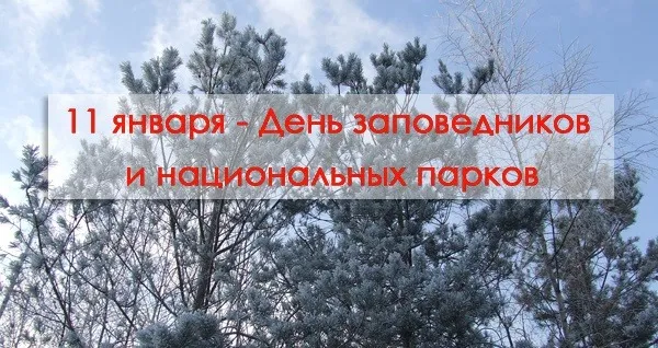 Красивые открытки и картинки с Днем заповедников и национальных парков. Открытки на День заповедников и национальных парков России (70 картинок)