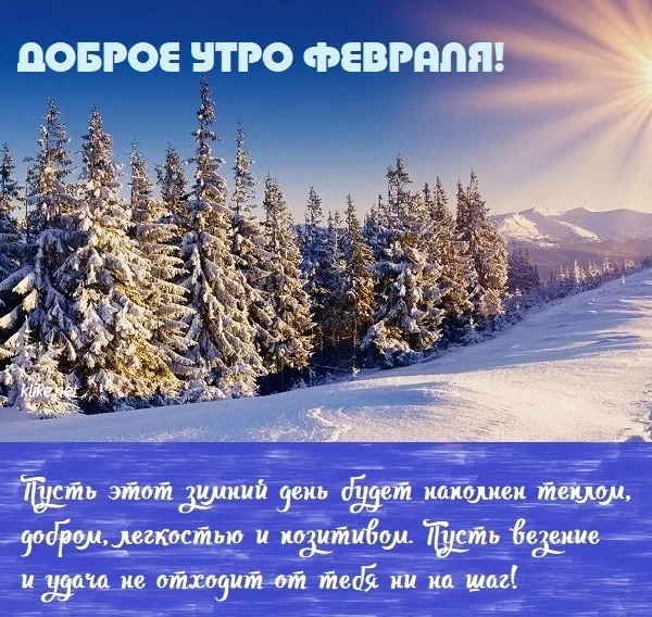 Красивые картинки с Добрым утром февраля. Красивые открытки с добрым утром февраля (220 картинок)