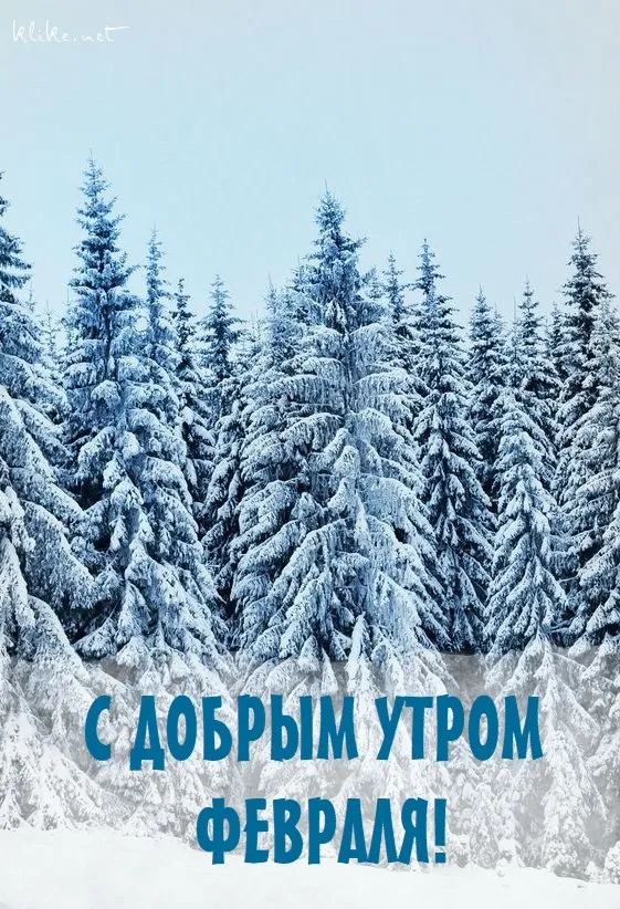 Красивые картинки с Добрым утром февраля. Красивые открытки с добрым утром февраля (220 картинок)