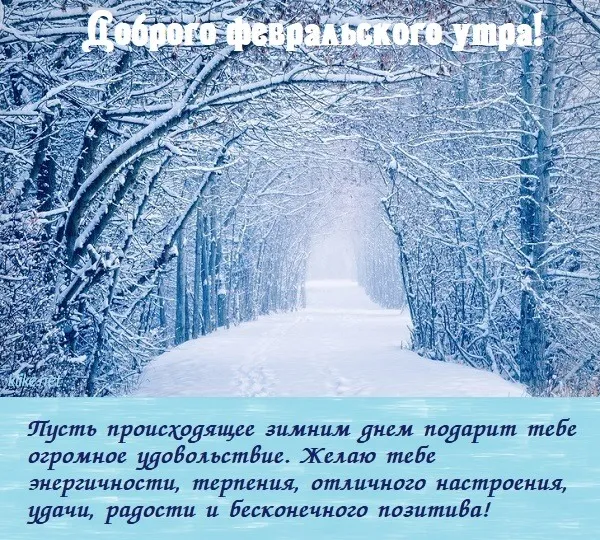 Красивые картинки с Добрым утром февраля. Красивые открытки с добрым утром февраля (220 картинок)