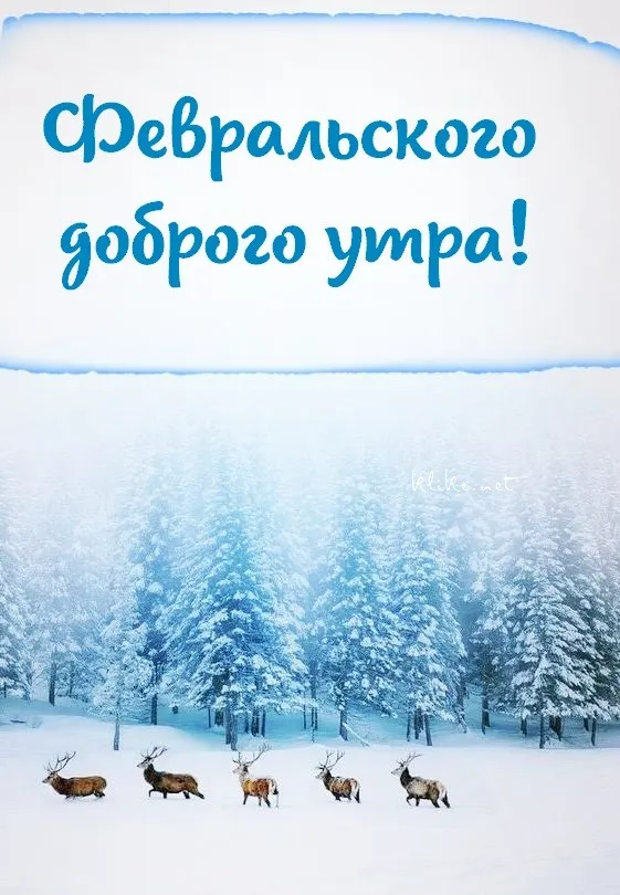 Красивые картинки с Добрым утром февраля. Красивые открытки с добрым утром февраля (220 картинок)